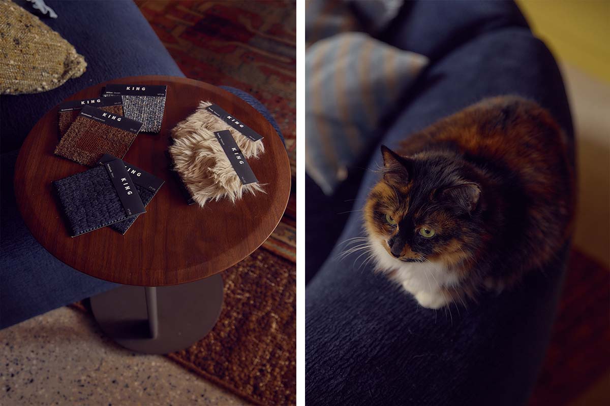 A table of fabric swatches beside a navy blue sofa with a tortoise shell cat sat on it.