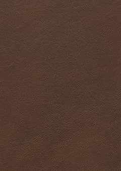 Luxurious Leather - King Living